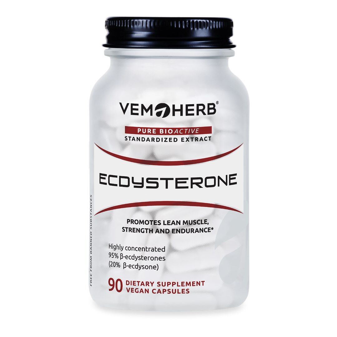 HEPATICA Ecdysterone (90 capsule) - Viking Supplements