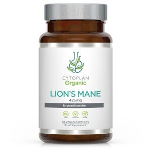 Lion's Mane - 60 capsule vegetali - Viking Supplements