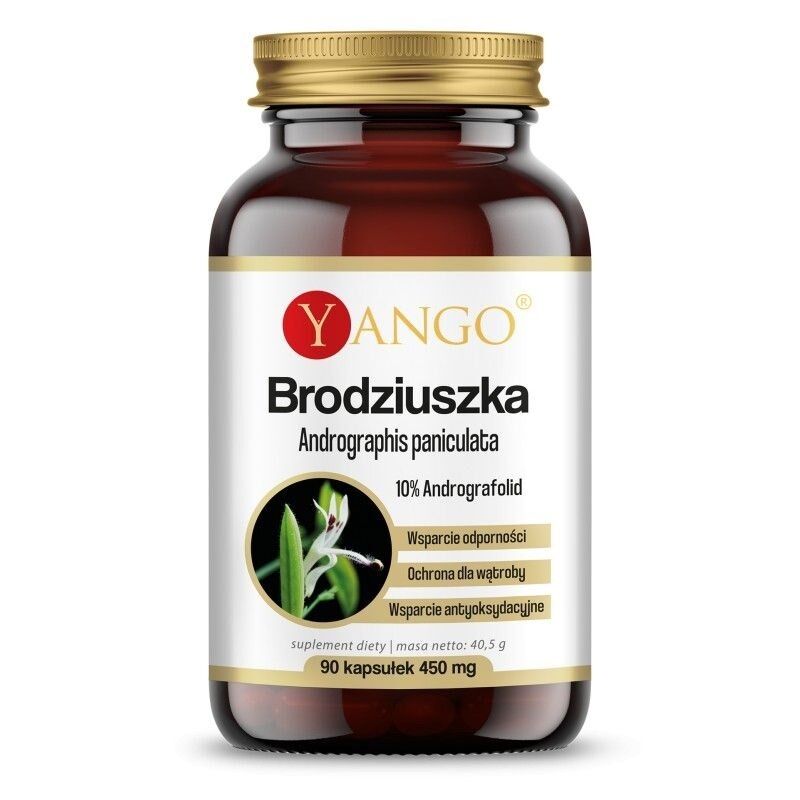 YANGO Andrographis paniculata (90 capsule) - Viking Supplements
