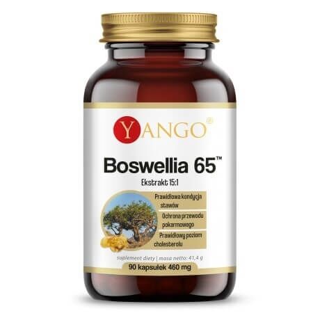 YANGO Boswellia 65 (90 capsule) - Viking Supplements