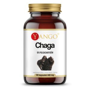 YANGO Chaga - 10% (90 capsule) - Viking Supplements