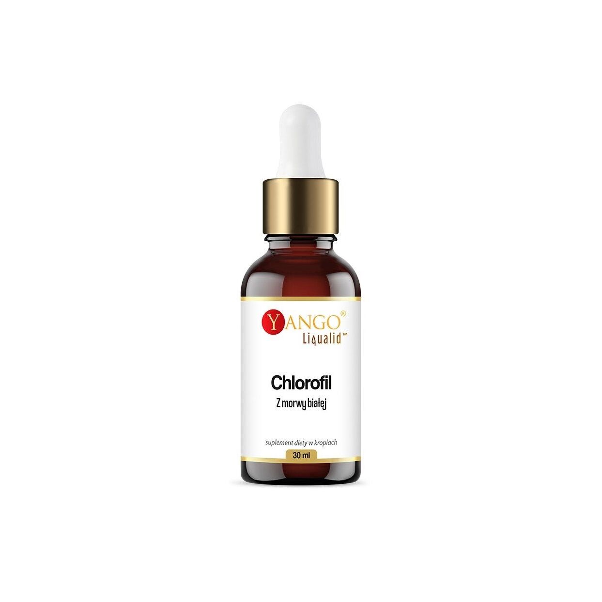 YANGO Clorofilla di gelso bianco in gocce (30 ml / 1 fl. oz.) - Viking Supplements